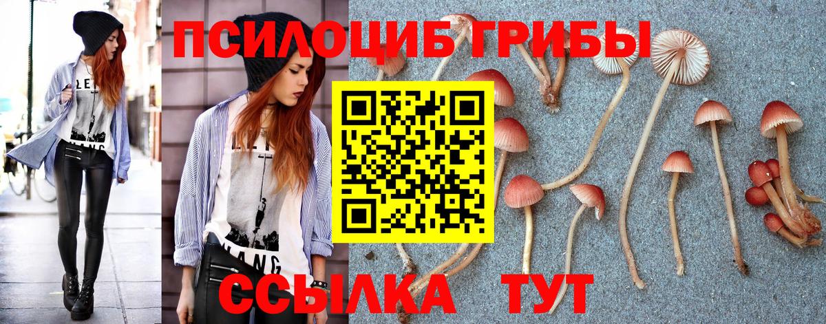 Химки  Псилоцибиновые грибы Psilocybe  Вход с VPN  Галлюциногенные грибы мицелий 