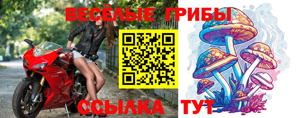 Галлюциногенные грибы ЛСД Химки